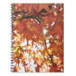 Orange autumn leafs with hard sun spiral note book