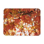 Orange autumn leafs with hard sun rectangle magnets