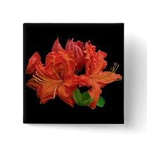 Orange Azalea Blossoms Button
