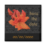 Orange Azalea Blossoms Refrigerator Magnet