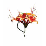 Orange Azaleas Ladies t-shirts