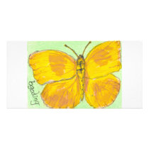 Orange Barred Giant Sulphur Butterfly photo cards