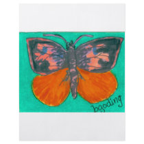 Orange Barred Giant Sulphur flyers