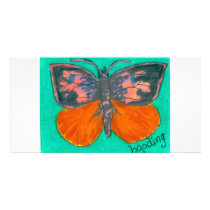 Orange Barred Giant Sulphur photo cards