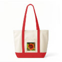 Orange Beauty bags