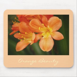 Orange Beauty mousepad