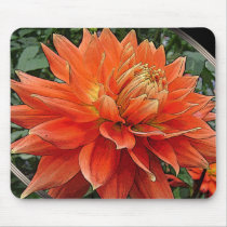 orange beauty mousepads