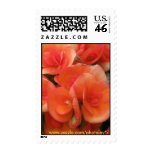 wax, begonia, orange, floral, postage, mail,