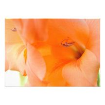 Orange Bell Flowers close-up photography digital Personalized Announcements