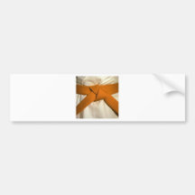 Orange Belt Bumper Stickers