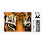 Orange Bengal Tiger Eyes Art Postage Stamp