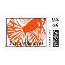 orange_betta[1], Betta splendens postage