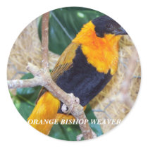 ORANGE BISHOP WEAVER STICKERS