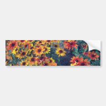 Orange Black Eyed Susan (Rudbeckia Hirta) flowers Bumper Sticker