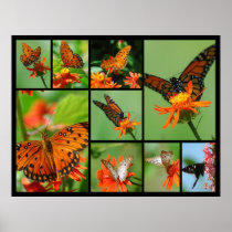 Orange & Black Print