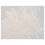 Orange Blood lily (Haemanthus multiflorus) flowers Letterhead