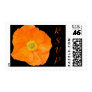 Orange Bloom RSVP
