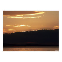 Orange Blossom Sunset Poster posters