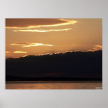 Orange Blossom Sunset Poster