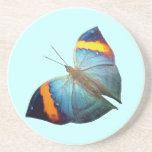 Orange & Blue Butterfly Drink Coaster