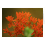 Orange Bokeh Greeting Card