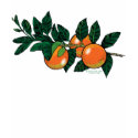 Orange branch shirt