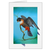 Orange-breasted Falcon cards by Rosiane_Gouvea Orange-breasted Falcon cards