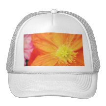 Orange Burst Hat
