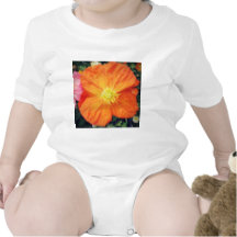 Orange Burst T Shirts