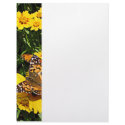 Orange Butterflies on Yellow Coreopsis letterhead