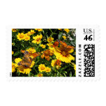 Orange Butterflies on Yellow Coreopsis Stamp