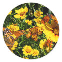Orange Butterflies on Yellow Coreopsis sticker