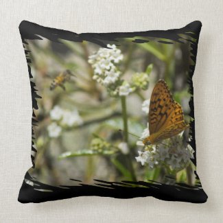 Orange Butterfly and Bee Black Edge Pillows