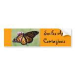 Orange Butterfly Bumper Sticker