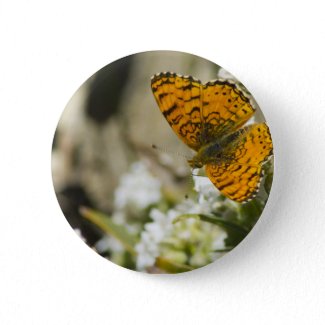 Orange Butterfly Buttons