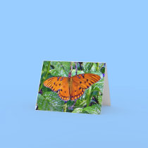 Orange butterfly cards