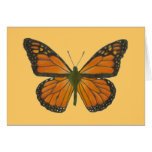 Orange Butterfly Card