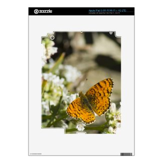 Orange Butterfly Decal For Ipad 3