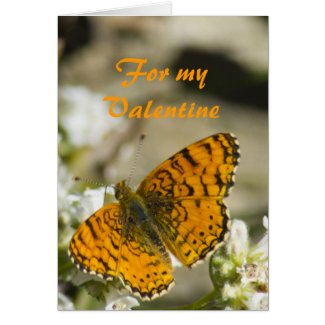 Orange Butterfly Greeting Card