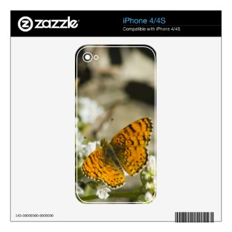 Orange Butterfly Iphone 4s Decal