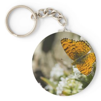 Orange Butterfly Key Chain