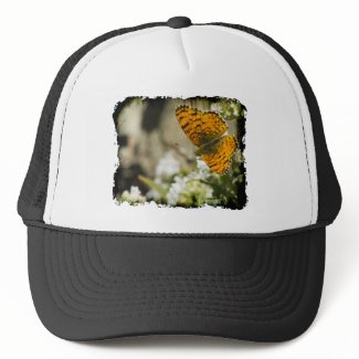 Orange Butterfly Mesh Hats