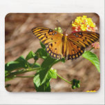 Orange Butterfly mousepads