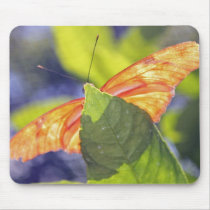 Orange Butterfly Mousepad mousepads