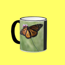 Orange Butterfly mugs by Priscilla48 Orange Butterfly mugs
