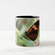 Orange Butterfly Mug by blumenthalphoto Orange Butterfly Mug