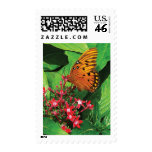 Orange Butterfly on Red Kalanchoe Stamps