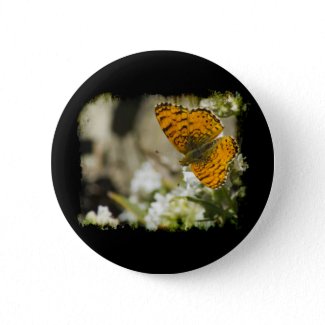 Orange Butterfly Pinback Buttons