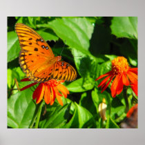 Orange Butterfly Print