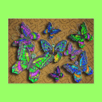 Orange Butterfly Rug postcard postcards